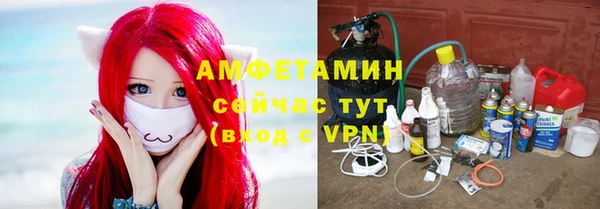 шишки Семёнов