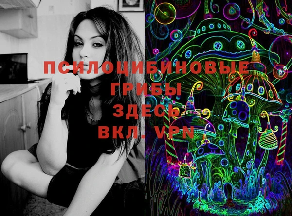 шишки Семёнов