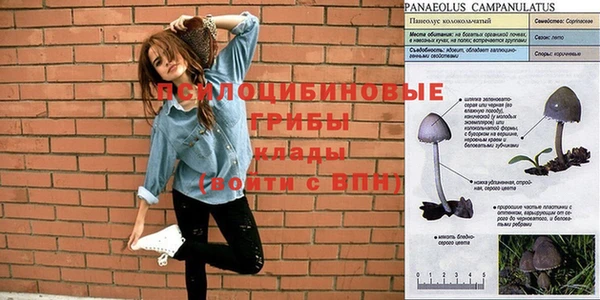 шишки Семёнов