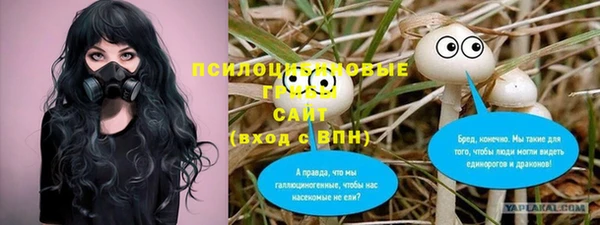шишки Семёнов