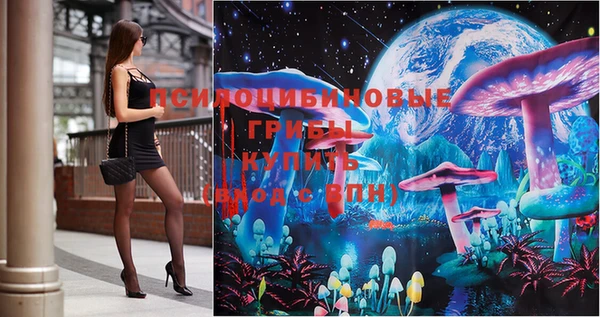 шишки Семёнов