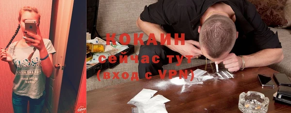 шишки Семёнов