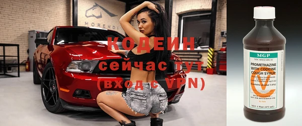 шишки Семёнов